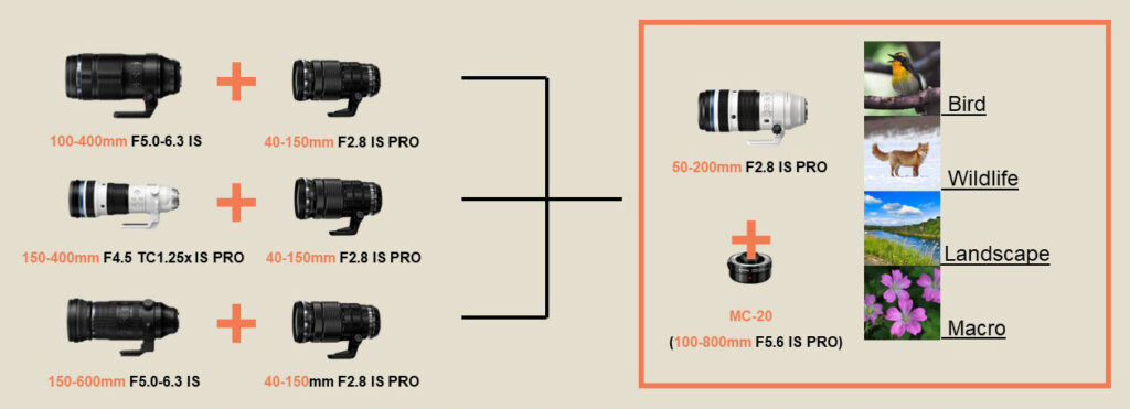 Comparação da OM System M.Zuiko 50-200mm F2.8 IS PRO com MC-20 face a outras teleobjetivas para fotografia de aves, vida selvagem, paisagem e macro.